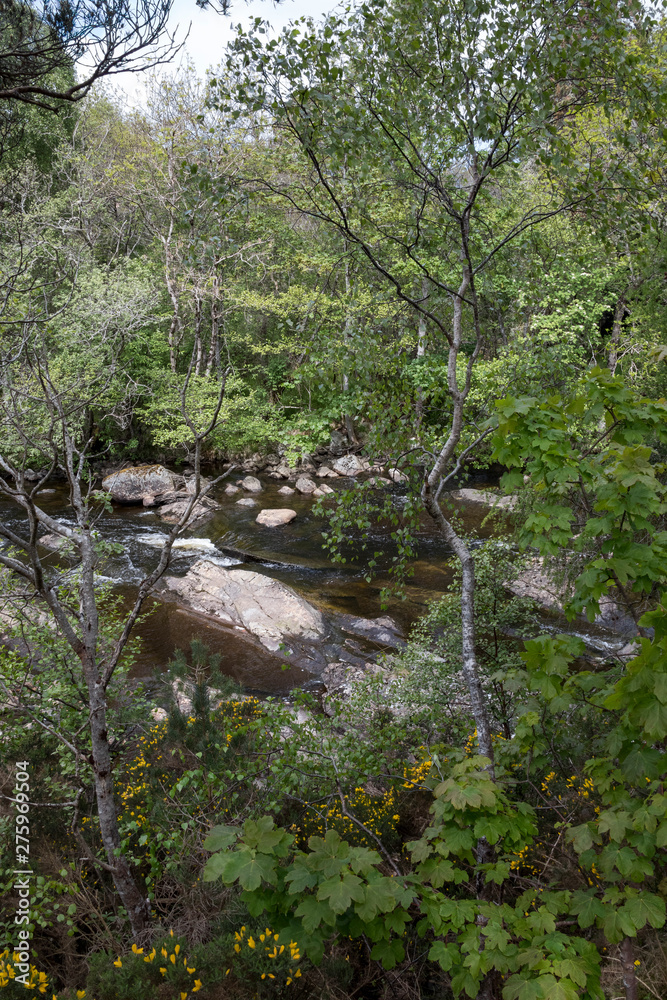 Das wilde, romantische Hochland von Schottland