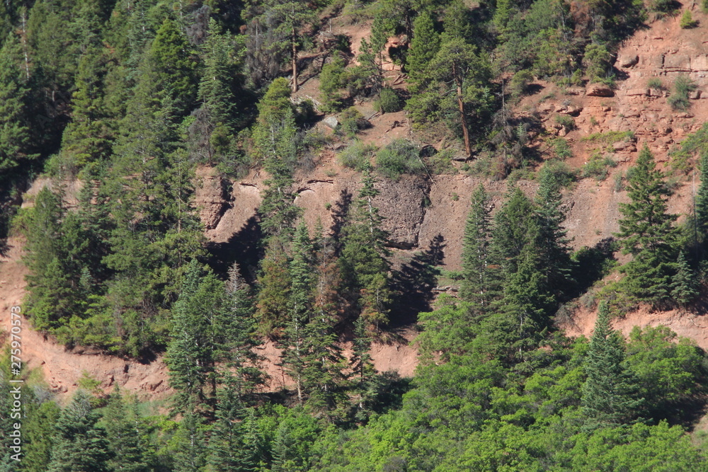 Naklejka premium Baldy Peak Mountain Ouray Colorado