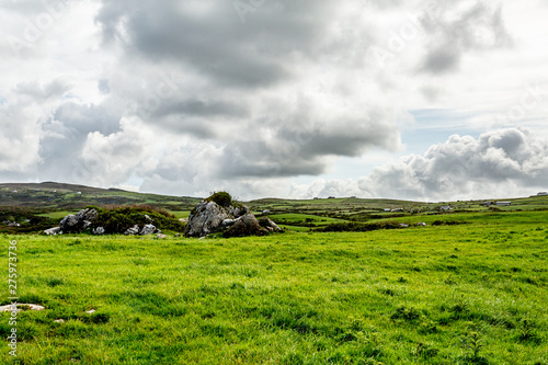 View of a meadow in the Burren with large limestone rocks among the green grass, Geoparks and Geosite, Wild Atlantic Way, beautiful spring day in County Clare in Ireland