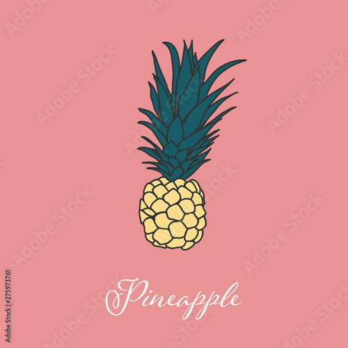 Tropic Pineapple isolated object picture design Summer Wine collection