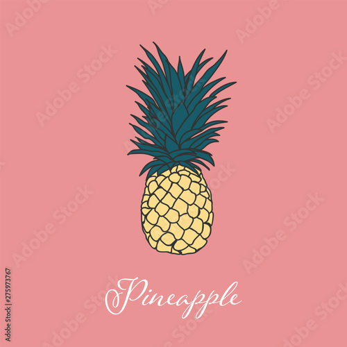 Tropic Pineapple isolated object picture design Summer Wine collection