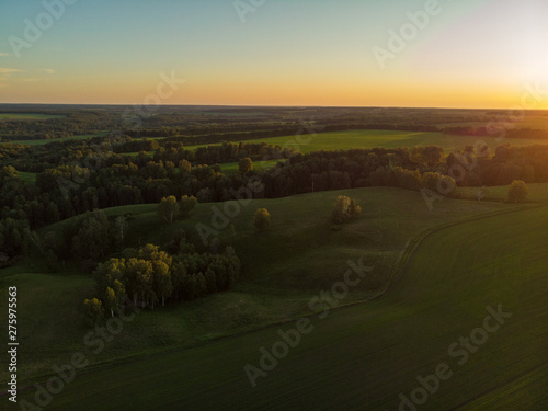 Top aerial view of green fi...