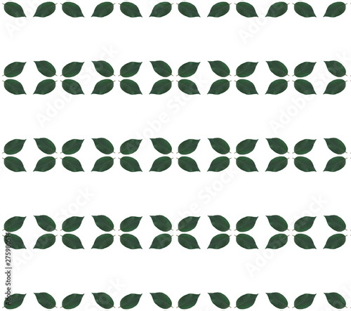 Green leaves on white background pattern
