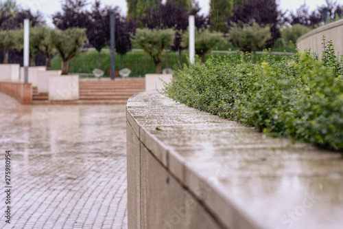 Heavy rain watering a flower bed in the city park, blurred © Algus