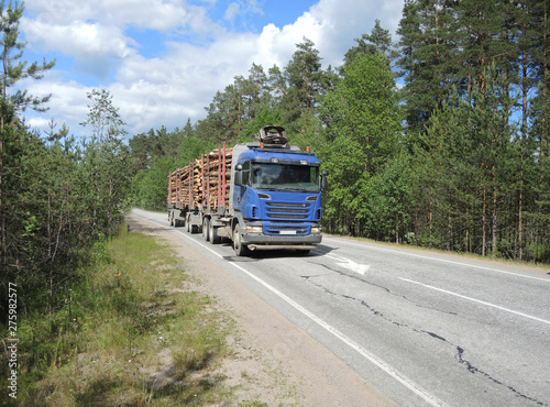 Timber truck fully loaded with logs goes on an asphalt road in the forest in summer