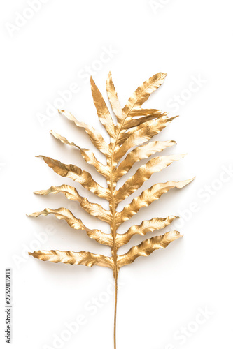 Flat lay of gold tropical palm leaves Monstera on white background. Top view ...