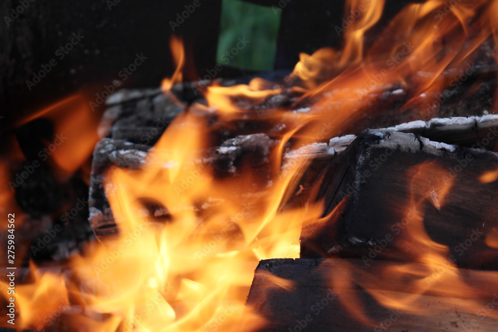 Fototapeta premium Fascinating orange flame of a fire - the element on which you can watch forever.