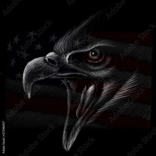 The logo Independence eagle Day July 4th for tattoo or T-shirt design or outwear.  Cute print Independence eagle Day July 4th style background.