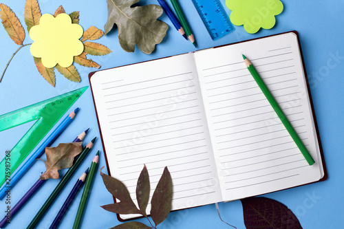 School supplies on blue background with autumn leaves