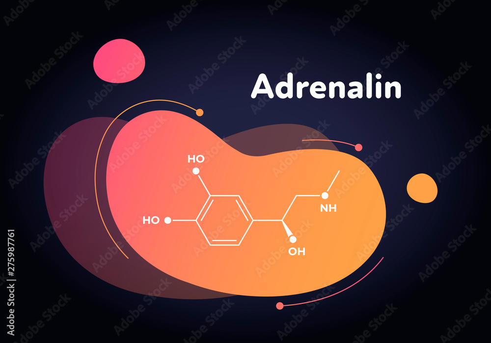 vector-hormones-fluid-modern-banner-adrenaline-structure-in-liquid