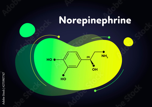 Vector hormones fluid moedrn banner. Norepinephrine structure in liquid gradient trendy shape on black. Hormone associated with adrenal response system. Design for education, presentation, poster.