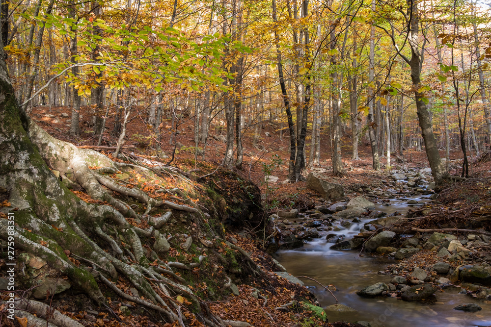 Montseny Natural Park Montseny Natural Park