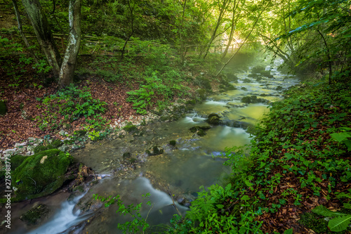 Forest creek  Romania