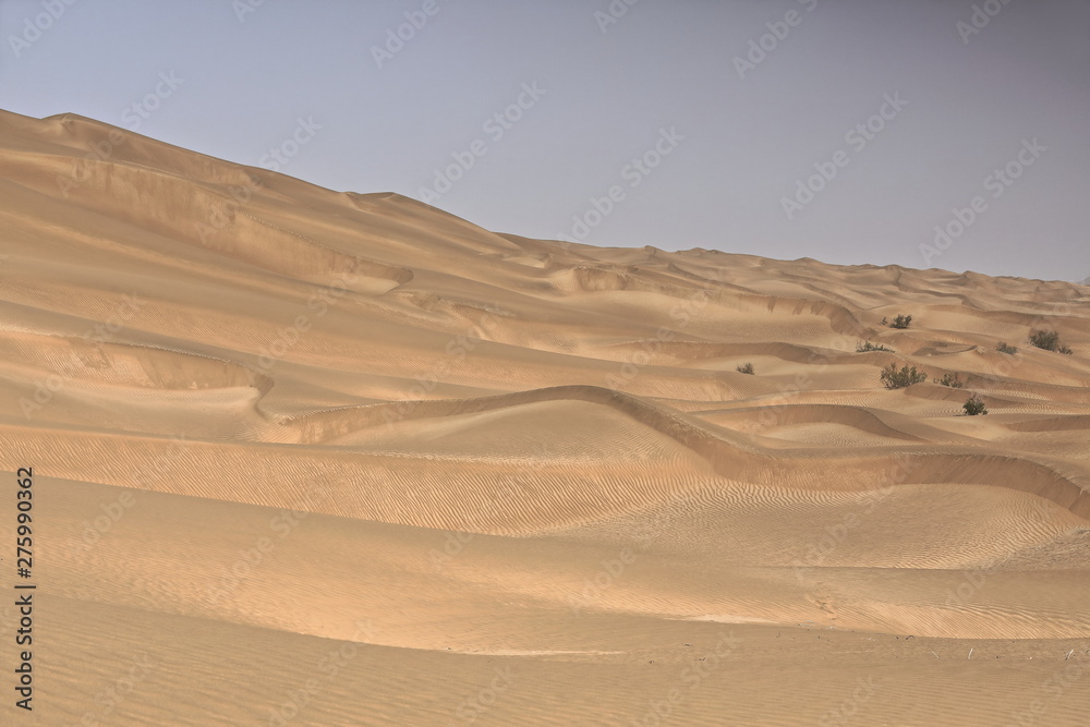 Shifting sand dunes-Takla Makan Desert. Yutian Keriya county-Xinjiang Uyghur region-China-0242
