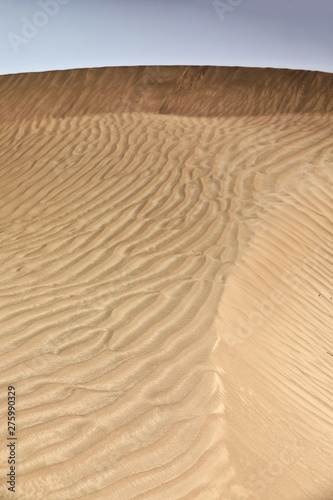 Shifting sand dunes-Takla Makan Desert. Yutian Keriya county-Xinjiang Uyghur region-China-0237