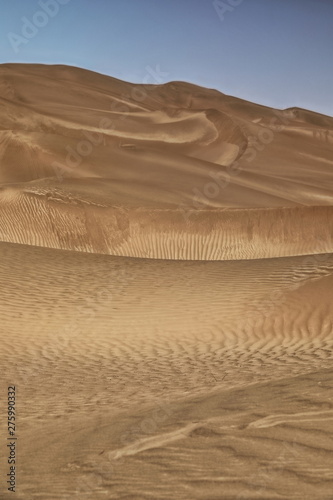 Shifting sand dunes-Takla Makan Desert. Yutian Keriya county-Xinjiang Uyghur region-China-0238