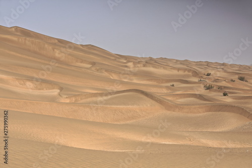 Shifting sand dunes-Takla Makan Desert. Yutian Keriya county-Xinjiang Uyghur region-China-0242