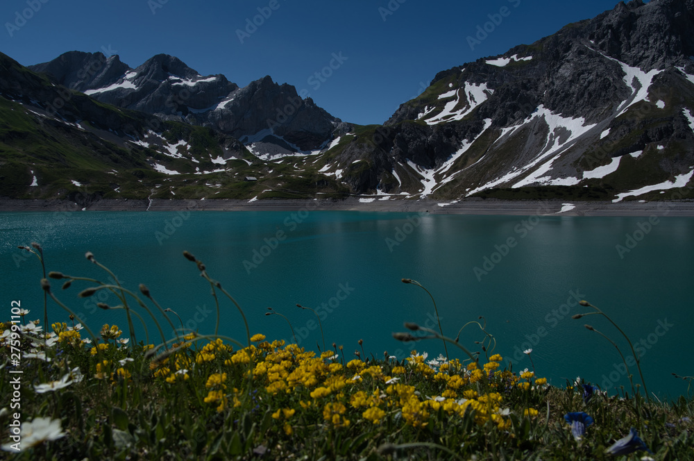 Alpsee und gelbe Blumen im Hochsommer
