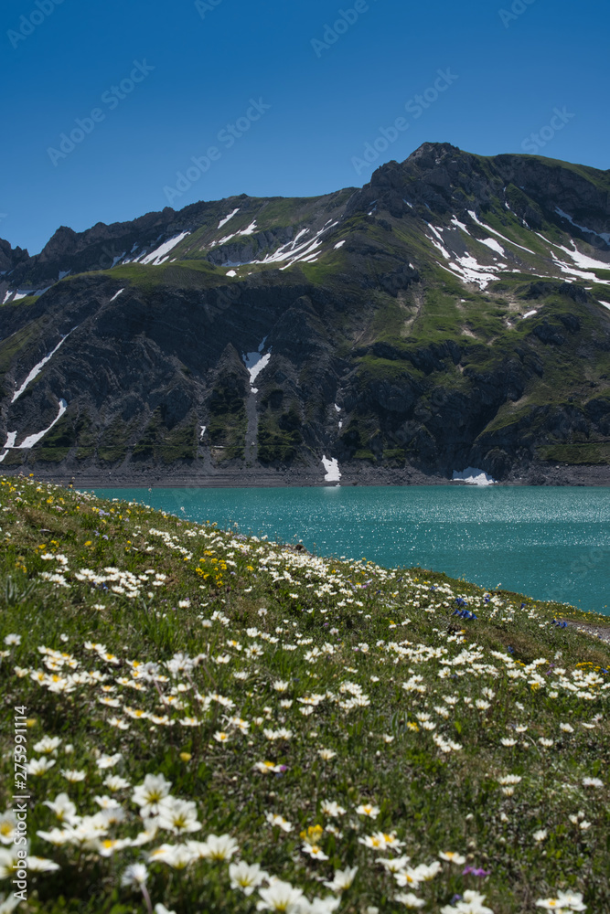 Alpsee in Österreich