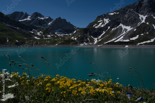 Obraz na płótnie Alpsee und gelbe Blumen im Hochsommer w salonie