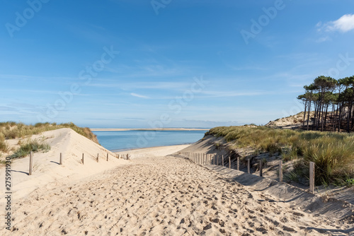 Fototapeta Naklejka Na Ścianę i Meble -  BASSIN D'ARCACHON (France), accès à la plage du Petit Nice	