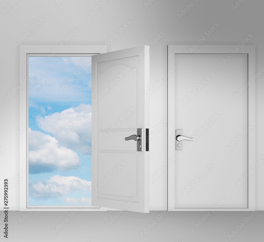 Concept of choice with many doors opportunity - 3d rendering Concept of choice with many doors opportunity - 3d rendering