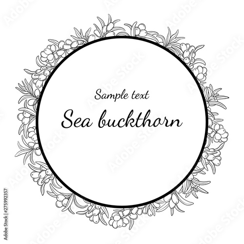 Round berries frame of Sea buckthorn. Label. Lineart decorative Design for natural and organic oils, cosmetic, herbal tea, natural juice and jam.
