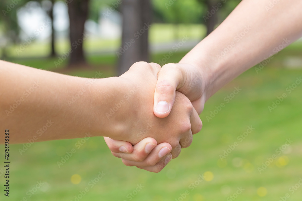 Handshake of two young people in the summer in the park on a background of green grass Handshake of two young people in the summer in the park on a background of green grass