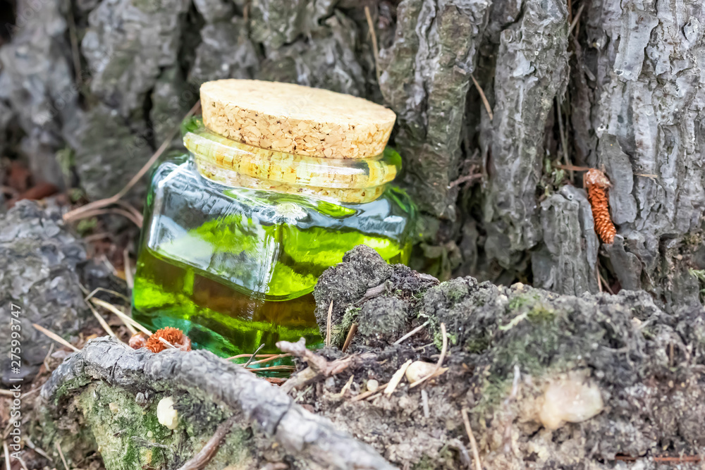 Fototapeta premium Glass bottle with cork cap with green-yellow nectar oil. Located under a coniferous tree