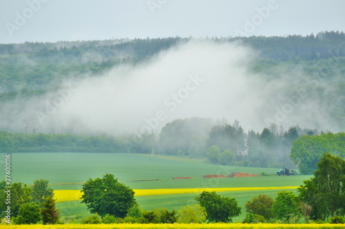 Fog after heavy rain fuming from the forest