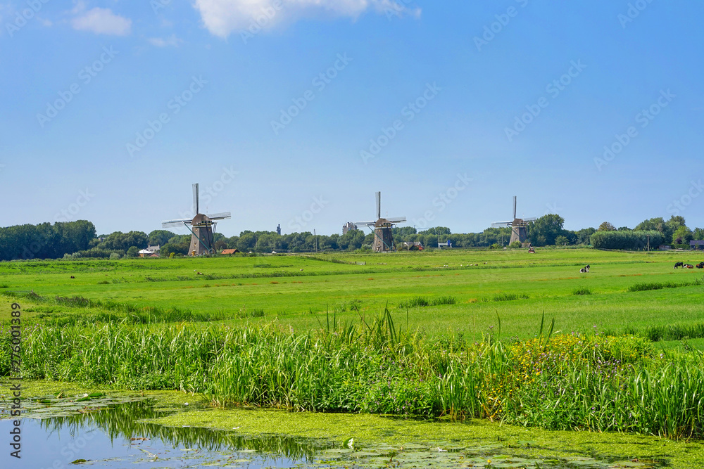 Old windmill against the blue sky in the morning in the summer. An old white mill. Netherlands