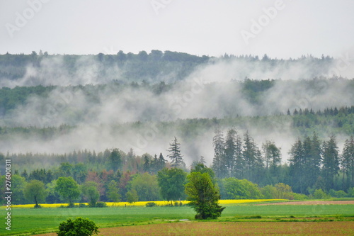 Fog after heavy rain fuming from the forest