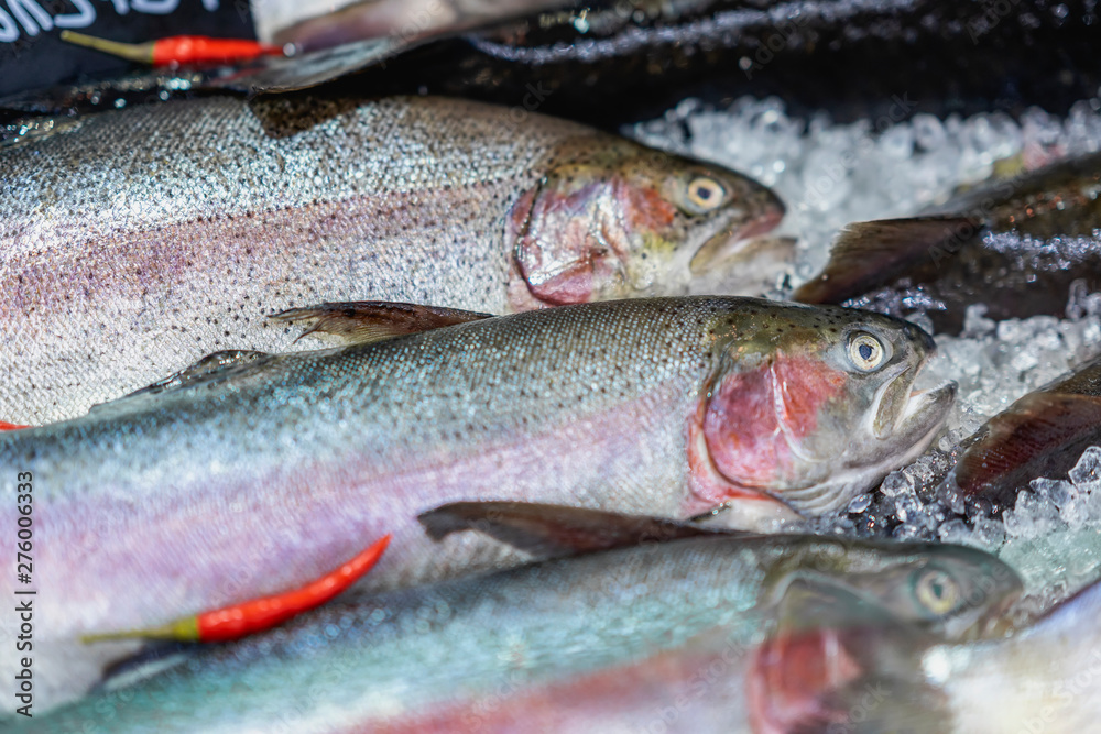 Fresh fish, salmon on ice, on the counter in supermarket. Open showcases of seafood market Fresh fish, salmon on ice, on the counter in supermarket. Open showcases of seafood market