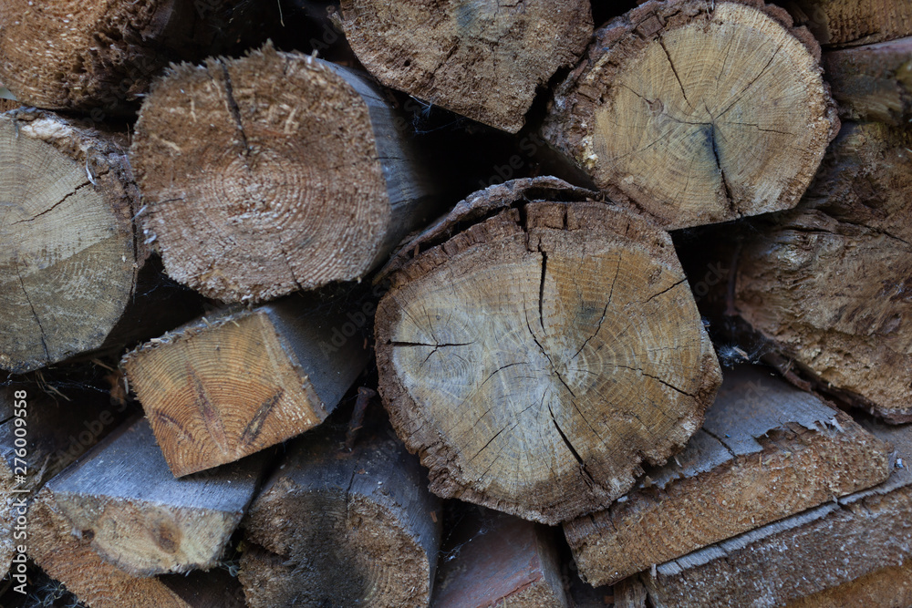 Naklejka premium Abstract background with felled wood.Selective focus