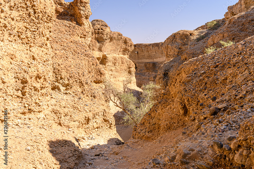 Sesriem Canyon, created after an underground river eroded the subsoil leading to the collapse of the ground.  Sesriem, Namibia