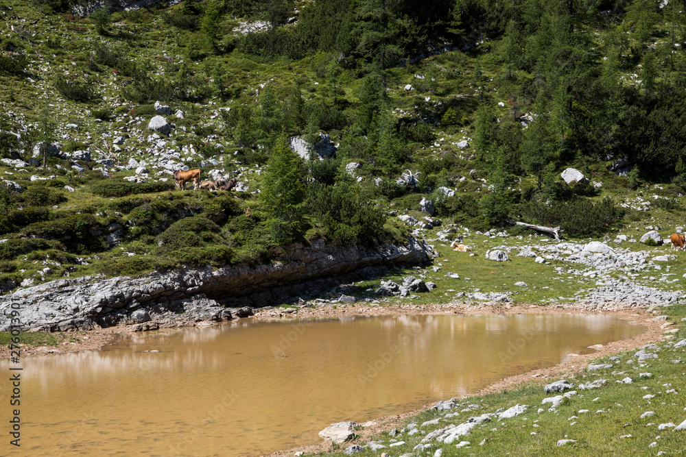Weltkulturerbe Dolomiten - Südtirol Weltkulturerbe Dolomiten - Südtirol