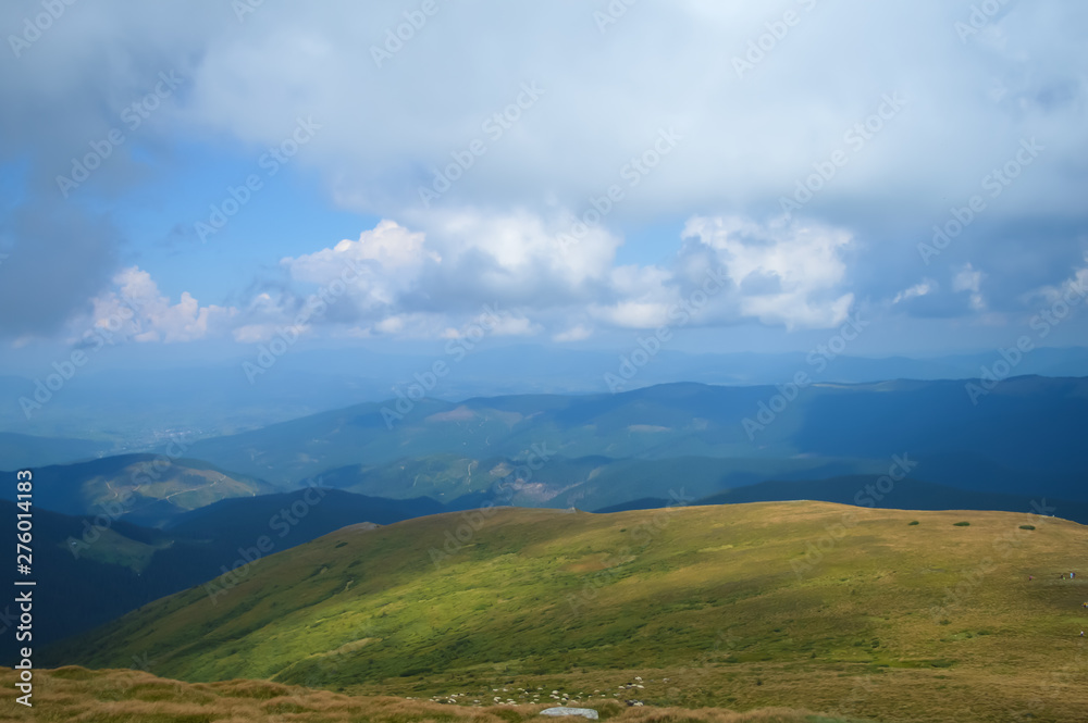 Herd of sheep on way to Hoverla, Carpathian mountains, Ukraine. Horizontal outdoors shot