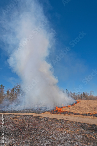 Smoke Tornado in a Controlled Prairie Burn