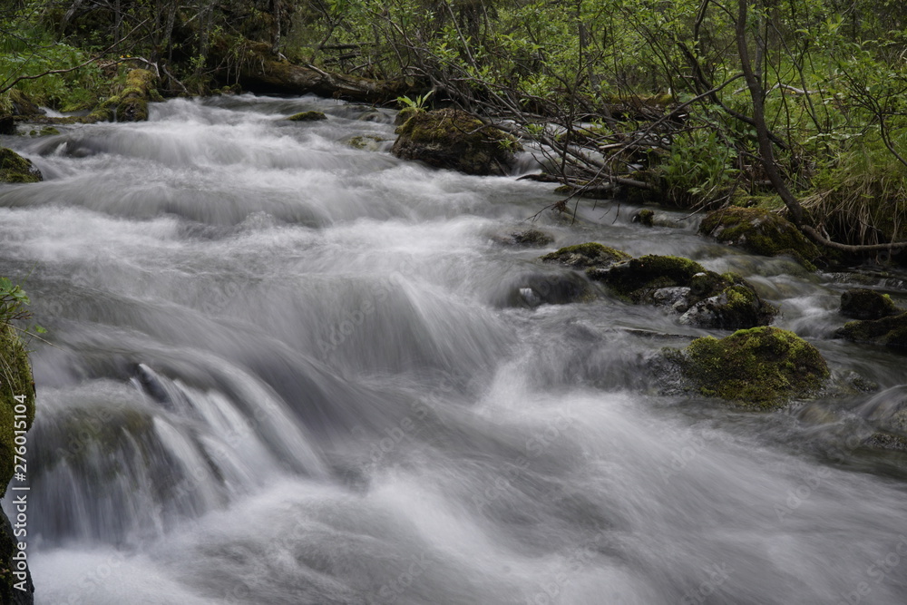 Fototapeta premium The rapids of the northern river in the tundra