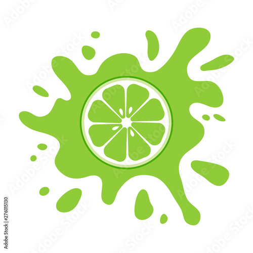 Lime fruit citrus, green splash isolated on white background. Vector illustration