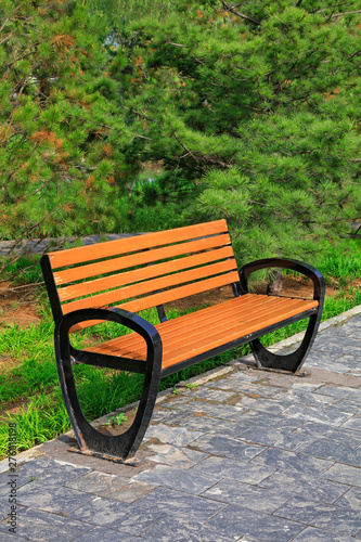 Wooden chair in a park