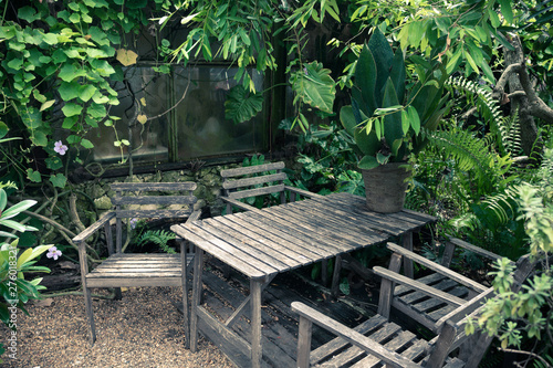 nature zone in cafe, green ...