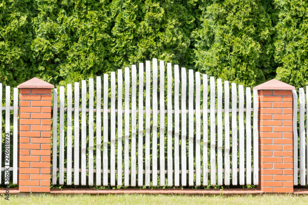 Fototapeta premium Fragment of a decorative fence with arborvitae