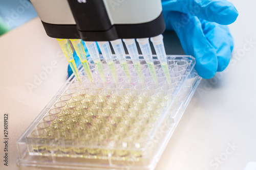 A close up view of a multi-pipette filling a microwell plate inside a science laboratory. Chemistry liquids filled by lab technician during bio experiment. photo