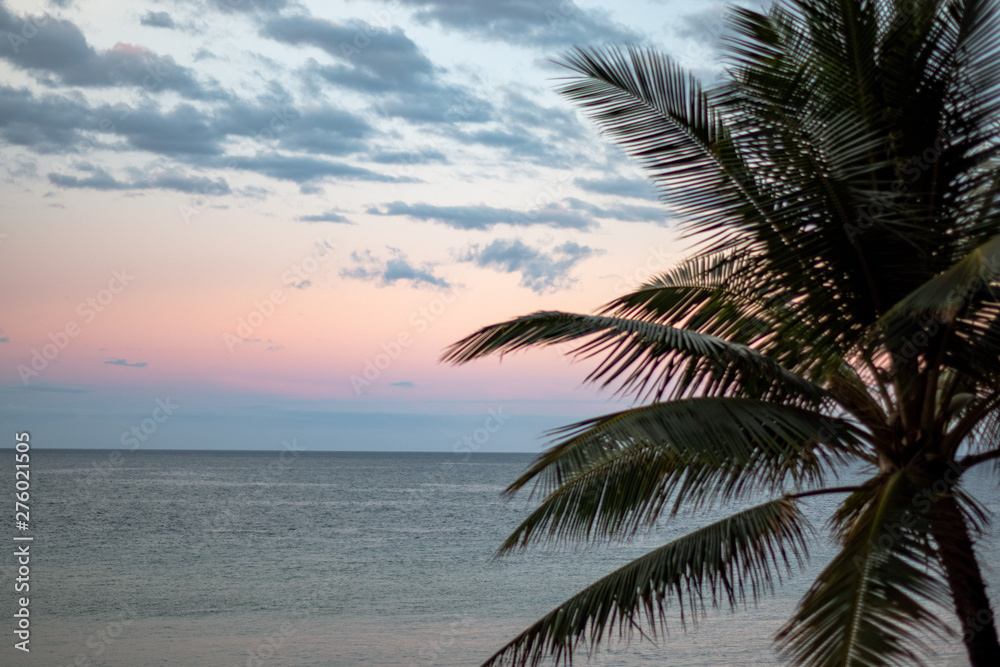 Maui Hawaii Ocean Sunrise Sunset with Tropical Palm Maui Hawaii Ocean Sunrise Sunset with Tropical Palm
