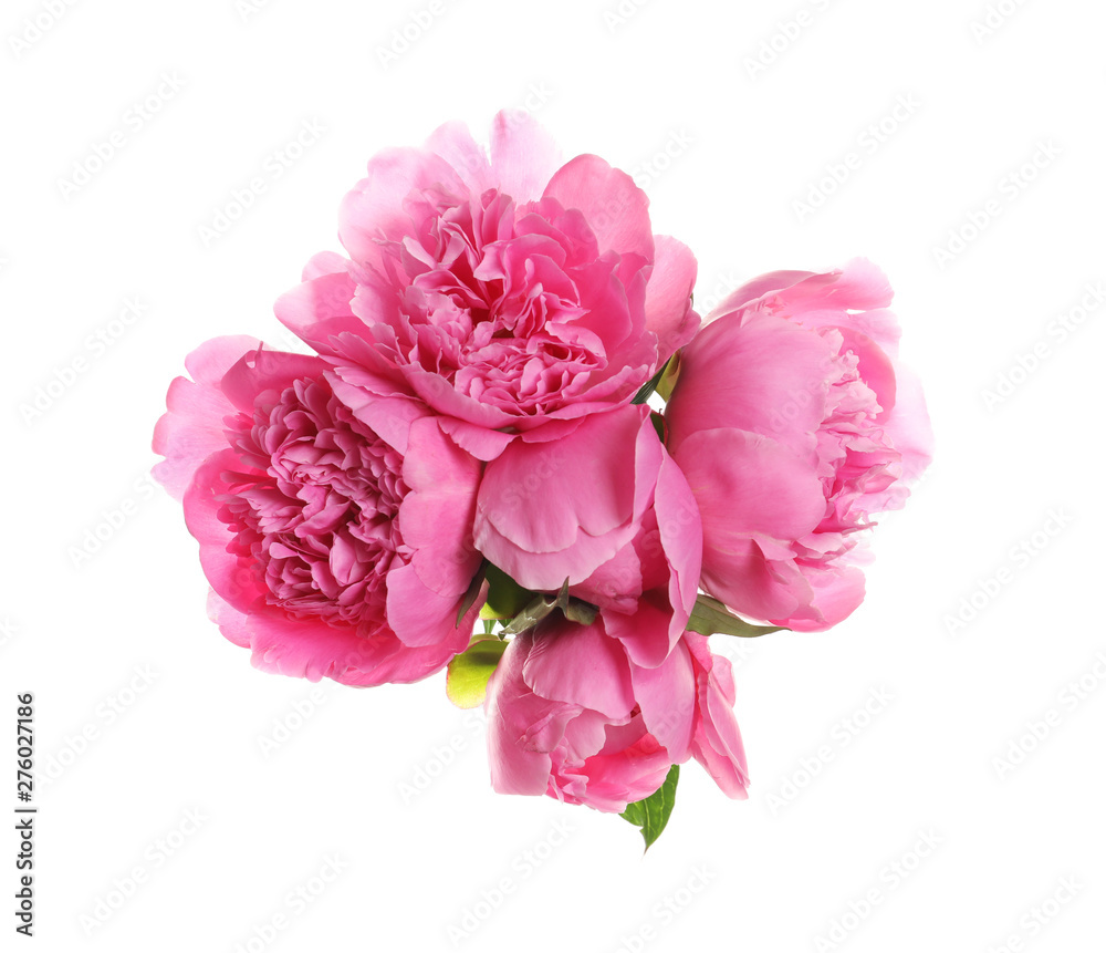 Bouquet of fresh peonies on white background, top view