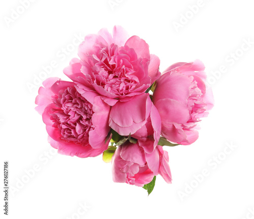 Bouquet of fresh peonies on white background, top view