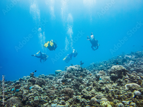 Scuba diving in Red Sea, Aqaba, Jordan