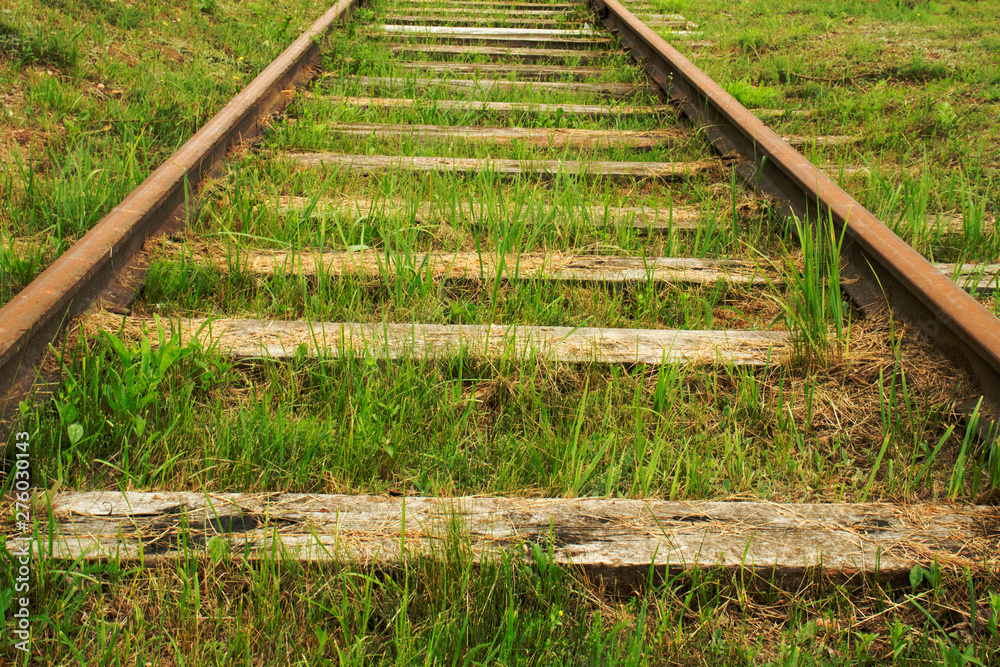 Old railroad stretching away overgrown with green grass