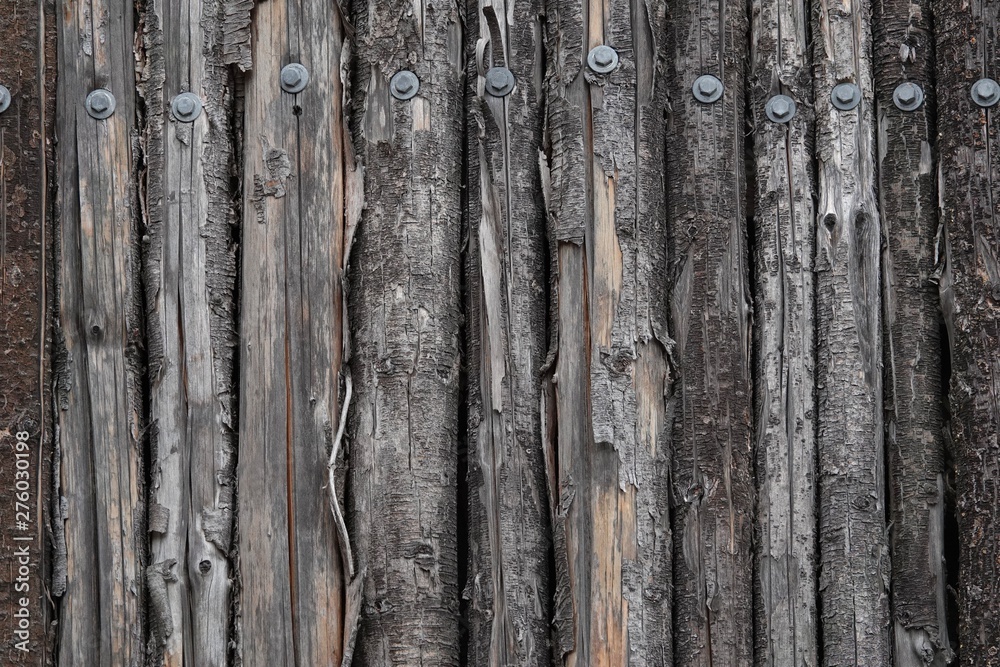 Fototapeta premium A wall of wood made from trees